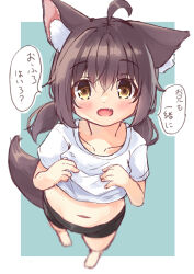 Rule 34 | 1girl, :d, absurdres, ahoge, animal ear fluff, animal ears, barefoot, bike shorts, black shorts, blue background, blush, brown eyes, brown hair, cat ears, cat girl, cat tail, collarbone, commentary request, crop top, fang, foreshortening, from above, hair between eyes, highres, looking at viewer, looking up, low twintails, manabe mana, midriff, navel, open mouth, original, outside border, shirt, short shorts, short sleeves, shorts, smile, solo, standing, tail, translation request, twintails, two-tone background, white background, white shirt