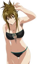 Rule 34 | 1girl, :&gt;, absurdres, arm up, armpits, bikini, breasts, brown eyes, cleavage, folded ponytail, green hair, highres, hip focus, kisaragi chitose, large breasts, long hair, navel, smile, solo, super robot wars, super robot wars v, swimsuit, thigh gap, thighs, underboob
