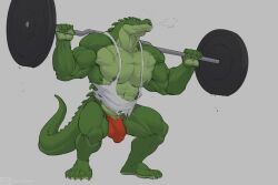 Rule 34 | 1boy, absurdres, barbell, briefs, bulge, exercising, furry, furry male, highres, league of legends, lizardman, male focus, male underwear, muscular, muscular male, nipples, pectorals, renekton, solo, tank top, torn clothes, underwear, zeforge