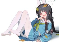 Rule 34 | 1girl, absurdres, animal ears, black hair, blood, blood on clothes, blood on face, blue archive, blue serafuku, closed mouth, fake animal ears, feet, green neckerchief, grey halo, halo, highres, knee pads, knees together feet apart, knees up, leaf, leaf on head, legs, long hair, long sleeves, looking at viewer, miyu (blue archive), neckerchief, no shoes, panties, pantyhose, pleated skirt, red eyes, ryuuforkaf, school uniform, serafuku, shirt, shoe print, simple background, single knee pad, skirt, solo, toes, underwear, white background, white pantyhose