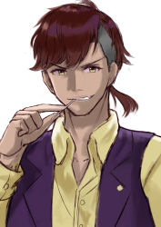Rule 34 | 1boy, black vest, brown hair, collarbone, collared shirt, commentary request, dress shirt, grin, highres, holding, looking at viewer, low ponytail, male focus, natsuki (natukituki), shirt, simple background, smile, solo, team spica&#039;s trainer, toothpick, trainer (umamusume), umamusume, upper body, v-shaped eyebrows, vest, white background, yellow eyes, yellow shirt