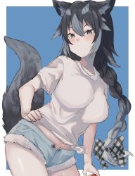 Rule 34 | 1girl, animal ear fluff, animal ears, arm at side, black hair, blush, bow, braid, braided ponytail, breasts, buttons, cowboy shot, denim, denim shorts, fur trim, grey eyes, grey hair, hair between eyes, hair bow, hand on own hip, highres, holding, kaku (drawing twi), large breasts, leaning to the side, long hair, looking at viewer, low-tied long hair, midriff peek, multicolored hair, navel, open fly, original, parted lips, shirt, short shorts, short sleeves, shorts, single braid, sketch, solo, stomach, t-shirt, tail, tied shirt, two-tone hair, unbuttoned, very long hair, wolf ears
