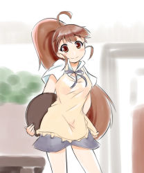 Rule 34 | 1girl, arms behind back, breasts, brown eyes, brown hair, long hair, looking at viewer, ponytail, sch, smile, solo, taneshima popura, very long hair, working!!
