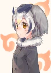 Rule 34 | 10s, 1girl, :/, bad id, bad pixiv id, blonde hair, blush, brown eyes, buttons, coat, collar, expressionless, eyebrows, eyelashes, from side, fur collar, gradient hair, grey coat, grey hair, hair between eyes, head wings, highres, japari symbol, kemono friends, long sleeves, looking at viewer, multicolored hair, northern white-faced owl (kemono friends), pink background, short hair, simple background, solo, tareme, ukimesato, white hair, wings