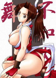 Rule 34 | artist request, breasts, brown hair, japanese clothes, large breasts, long hair, shiranui mai, sideboob