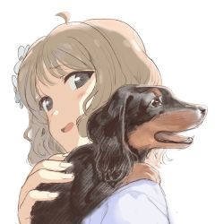 Rule 34 | 1girl, ahoge, andou shuki, animal, black eyes, close-up, commentary request, dachshund, dog, flower, hair flower, hair ornament, highres, holding, holding animal, idolmaster, idolmaster million live!, light brown hair, open mouth, portrait, short hair, suou momoko, white background