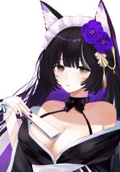 Rule 34 | 1girl, absurdres, animal ear fluff, animal ears, azur lane, bare shoulders, black hair, black kimono, breasts, cleavage, commentary request, facial mark, flower, fox ears, frilled hairband, frills, hair flower, hair ornament, hairband, hand fan, highres, holding, holding fan, japanese clothes, kimono, large breasts, looking at viewer, maid headdress, musashi (azur lane), musashi (violet moonglow) (azur lane), nail polish, official alternate costume, purple flower, purple hair, purple nails, ram (404272725), simple background, solo, upper body, whisker markings, white background