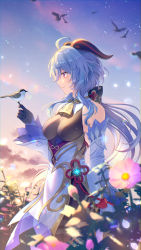Rule 34 | 1girl, absurdres, ahoge, bare shoulders, bell, bird, black gloves, blue hair, bow, breasts, bshi edayo, chinese knot, detached sleeves, dusk, evening, flower, flower knot, ganyu (genshin impact), genshin impact, gloves, gold trim, gradient sky, highres, horns, light smile, long hair, looking at another, looking to the side, low ponytail, medium breasts, neck bell, orange sky, outdoors, petals, purple eyes, red rope, revision, rope, sidelocks, sky, solo, standing, tassel, vision (genshin impact), white sleeves