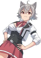 Rule 34 | 1girl, absurdres, ahoge, animal ear fluff, animal ears, belt, black belt, breasts, cat ears, closed mouth, commentary, cropped jacket, crossed bangs, grey hair, hair between eyes, hands on own hips, highres, jacket, looking at viewer, medium breasts, mushoku tensei, neck ribbon, ranoa magic academy school uniform, red eyes, red ribbon, red skirt, ribbon, rinia dedoldia, school uniform, shirt, short hair, sidelocks, simple background, skirt, solo, syagare, thighs, v-shaped eyebrows, white background, white jacket, white shirt