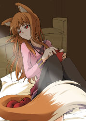 Rule 34 | 00s, 1girl, absurdres, animal ears, apple, bad id, bad pixiv id, brown hair, female focus, food, fruit, hazuki haru, highres, holding, holding food, holding fruit, holo, indoors, red eyes, sitting, solo, spice and wolf, wolf ears