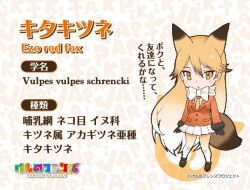 Rule 34 | 1girl, animal ears, extra ears, ezo red fox (kemono friends), kemono friends, looking at viewer, official art, simple background, solo, tail, yoshizaki mine
