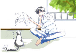 Rule 34 | 00s, 1boy, barefoot, black cat, black hair, cat, darker than black, denim, hei (darker than black), indian style, jeans, leaning, male focus, mao (darker than black), on floor, pants, shirt, sitting, solo, toy, tree, white shirt, window