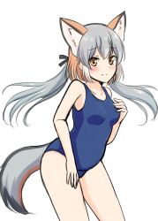 Rule 34 | 1girl, animal ear fluff, animal ears, bare arms, bare shoulders, black ribbon, blue one-piece swimsuit, breasts, commentary request, extra ears, fox ears, fox girl, fox tail, grey hair, hair between eyes, hair ribbon, hand on own chest, highres, island fox (kemono friends), kemono friends, light blush, light smile, long hair, medium breasts, multicolored hair, one-piece swimsuit, orange eyes, orange hair, ribbon, school swimsuit, shiraha maru, simple background, solo, split mouth, swimsuit, tail, twintails, white background
