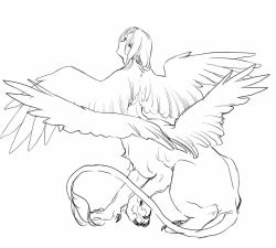 Rule 34 | 1girl, centauroid, claws, closed mouth, completely nude, greyscale, monochrome, monster girl, mullmull02, multiple wings, nude, original, simple background, sketch, solo, sphinx, spread wings, tail, talons, taur, white background, wings