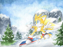 Rule 34 | 1boy, blue sky, day, finik, furry, furry male, gloves, highres, outdoors, pine tree, shoes, sky, snow, snowboarding, snowing, solo, sonic (series), tails (sonic), tree, white gloves