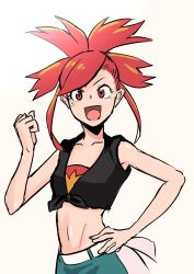 Rule 34 | 1girl, creatures (company), crop top, flannery (pokemon), game freak, highres, long hair, looking at viewer, midriff, navel, nintendo, open mouth, pokemon, pokemon oras, red eyes, red hair, riku (ukir125), simple background, smile, solo