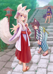 Rule 34 | 3girls, absurdres, animal ear fluff, animal ears, barefoot, black footwear, black hair, blue eyes, blush, brown eyes, brown footwear, brown hair, cat ears, closed mouth, commentary request, day, folded ponytail, fox ears, fox girl, fox tail, hair ribbon, hakama, hakama skirt, highres, iroha (iroha matsurika), japanese clothes, kimono, leaning forward, long hair, long sleeves, looking at viewer, looking back, miko, multiple girls, obi, original, outdoors, outstretched arm, pink ribbon, ponytail, purple eyes, red hakama, ribbon, sandals, sash, short sleeves, silver hair, sitting, sitting on stairs, skirt, smile, stairs, stone stairs, striped clothes, striped kimono, tail, tasuki, vertical-striped clothes, vertical-striped kimono, very long hair, white kimono, wide sleeves, zouri