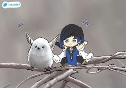 Rule 34 | 1girl, absurdres, asymmetrical gloves, bird, black hair, blue eyes, blunt bangs, branch, chibi, chinese clothes, coat, coat on shoulders, commentary request, fur-trimmed coat, fur trim, genshin impact, gloves, highres, looking at viewer, mismatched gloves, ooyun, outstretched arms, parted bangs, photo background, short hair, sidelocks, sitting on branch, sleeveless, smile, solo, spread arms, yelan (genshin impact)