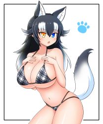 Rule 34 | 1girl, absurdres, animal ear fluff, animal ears, bikini, black hair, blue eyes, blush, breasts, cleavage, collarbone, extra ears, grey wolf (kemono friends), hand on own chest, heterochromia, highres, kemono friends, large breasts, looking at viewer, multicolored hair, navel, open mouth, simple background, solo, swimsuit, tail, two-tone hair, white background, white hair, wolf ears, wolf girl, wolf tail, yellow eyes, zn (doakes00)