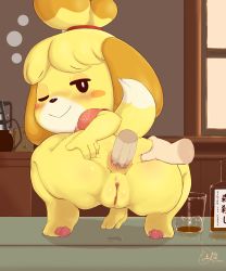 Rule 34 | 1girl, ;), absurdres, alcohol, anal, animal crossing, animal ears, animal hands, anus, ass, ass grab, ass juice, blush, bottle, bottomless, cleft of venus, closed mouth, cup, disembodied hand, disembodied penis, dog ears, dog tail, from behind, full body, furry, grabbing another&#039;s ass, hand on own ass, highres, indoors, isabelle (animal crossing), looking back, nintendo, one eye closed, penis, pussy, pussy juice, sake kemosalmon, sex, short sleeves, smile, solo focus, squatting, tail, topknot, uncensored, window