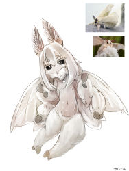 Rule 34 | 1girl, absurdres, antennae, black sclera, colored sclera, colored skin, extra arms, female focus, flat chest, highres, arthropod girl, monster girl, moth girl, my700, nude, original, personification, reference photo, simple background, solo, white background, white hair, white skin, wings