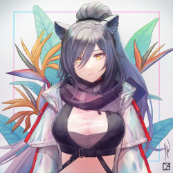 Rule 34 | 1girl, animal ears, arknights, black scarf, breasts, cat ears, commentary, crop top, grey background, hair between eyes, highres, jacket, large breasts, long hair, long sleeves, looking at viewer, midriff, open clothes, open jacket, pericokitajima, scarf, schwarz (arknights), silver hair, solo, upper body, very long hair, white jacket, yellow eyes