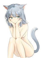 Rule 34 | 1girl, animal ears, blue eyes, blush, breasts, cat ears, cat girl, cat tail, collarbone, head in hands, kirin 13, looking to the side, medium breasts, nude, original, short hair, silver hair, sitting, tail, white background