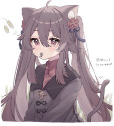 Rule 34 | 1girl, ahoge, animal ears, blush, brown coat, brown hair, cat ears, cattail, coat, commentary, cropped torso, fish, flower, genshin impact, hair flower, hair ornament, highres, hu tao (genshin impact), kemonomimi mode, long hair, long sleeves, looking at viewer, mouth hold, plant, plum blossoms, red eyes, red flower, red shirt, roku 6, shirt, sidelocks, solo, twintails, twitter username, upper body, very long hair