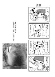 Rule 34 | 1girl, 4koma, ^^^, animal, artist self-insert, blunt bangs, blush, cat, closed eyes, comic, emphasis lines, greyscale, headpat, highres, looking at another, mask, monochrome, mouth mask, noai nioshi, on bed, original, photo (medium), photo inset, pillow, ponytail, sidelocks, translation request, under covers
