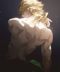 Rule 34 | 1boy, back, birthmark, blonde hair, chromatic aberration, closed mouth, dio brando, dio brando&#039;s pose (jojo), fajyobore, floating hair, from behind, joestar birthmark, jojo no kimyou na bouken, light particles, light smile, long hair, looking back, male focus, paid reward available, scar, scar on neck, shadow, sideways glance, solo, star (symbol), stardust crusaders, toned, toned male, topless male, upper body, wavy hair, yellow eyes