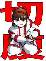 Rule 34 | 1girl, :t, absurdres, ainu clothes, annoyed, breasts, brown eyes, brown hair, cleavage, crying, fingerless gloves, gloves, hair ribbon, highres, kneeling, legs, looking at viewer, nakoruru, open clothes, open mouth, pants, pout, ribbon, samurai spirits, small breasts, snk, solo, tears, the king of fighters, thick thighs, thighs, weapon