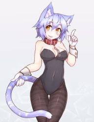 Rule 34 | 1girl, animal ears, bare shoulders, black leotard, black pantyhose, blue hair, blush, bow, bowtie, breasts, cat ears, cat tail, chain, cleavage, collarbone, covered navel, gloves, holding tail, kittysuit, leotard, looking at viewer, medium breasts, nontraditional playboy bunny, open mouth, orange eyes, original, pantyhose, playboy bunny, ryota tentei, scar, short hair, solo, striped clothes, striped pantyhose, tail, thigh strap, tora tentei, white gloves, wrist cuffs