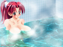 Rule 34 | 00s, 1girl, artist request, blush, breasts, censored, convenient censoring, eiken, huge breasts, long hair, navel, nude, partially submerged, ponytail, red eyes, red hair, shinonome chiharu, steam, steam censor, water, wet