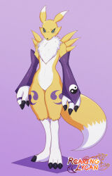 Rule 34 | absurdres, claws, digimon, digimon (creature), fox, highres, looking at viewer, renamon, shadow, tail, yin yang