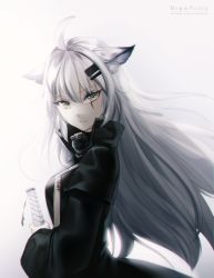 Rule 34 | 1girl, ahoge, animal ears, arknights, black coat, cat ears, coat, from side, gigamessy, hair between eyes, hair ornament, hairclip, holding, holding sword, holding weapon, lappland (arknights), long hair, long sleeves, looking at viewer, silver hair, solo, standing, sword, upper body, very long hair, weapon, white background, yellow eyes