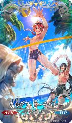 Rule 34 | 4boys, 4girls, abs, alexander (fate), anklet, armpits, ball, beach volleyball, black hair, blue male swimwear, blue school swimsuit, blue sky, blurry, blurry foreground, bracelet, braid, cheering, craft essence (fate), day, depth of field, drawstring, eyewear on head, fate/apocrypha, fate/grand order, fate (series), full-body tattoo, green eyes, green male swimwear, jack the ripper (fate/apocrypha), jaguarman (fate), jewelry, jumping, lens flare, long hair, male focus, male school swimsuit, male swimwear, marie antoinette (fate), mordred (fate), mordred (fate) (all), mordred (fate/apocrypha), mordred (swimsuit rider) (fate), mordred (swimsuit rider) (first ascension) (fate), multiple boys, multiple girls, name tag, navel, nipples, official art, palm tree, playing sports, print male swimwear, print swimsuit, red eyes, redrop, school swimsuit, single braid, sitting, sky, smile, spartacus (fate), sunglasses, swim briefs, swim trunks, swimsuit, tattoo, toned, toned male, topless male, tree, volleyball, volleyball (object), volleyball net, yan qing (fate)