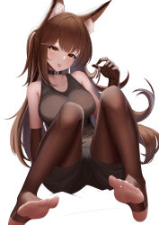 Rule 34 | 1girl, absurdres, animal ears, arknights, barefoot, brown hair, feet, franka (arknights), gloves, highres, long hair, looking at viewer, shorts, soles, stirrup legwear, toeless legwear, toes, tongue, tongue out, white background, yellow eyes