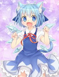 Rule 34 | 1girl, animal ears, blue dress, blue eyes, blue hair, cat ears, cat tail, cirno, commentary, dress, fang, ibaraki natou, ice, ice wings, kemonomimi mode, looking at viewer, matching hair/eyes, open mouth, paw pose, paw print, puffy short sleeves, puffy sleeves, shirt, short sleeves, smile, solo, tail, touhou, wings