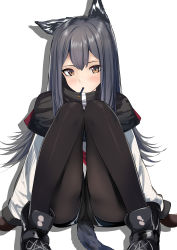 Rule 34 | 1girl, absurdres, animal ears, arknights, ass, black hair, black pantyhose, black shorts, brown eyes, capelet, highres, knees together feet apart, knees up, long hair, long sleeves, looking at viewer, mouth hold, pantyhose, schreibe shura, shadow, shirt, shoes, short shorts, shorts, simple background, sitting, solo, tail, texas (arknights), white background, white shirt, wolf ears, wolf tail