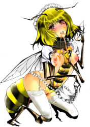 Rule 34 | antennae, apron, arthropod girl, artist request, bee, bee girl, blonde hair, breasts, brown eyes, bug, extra arms, garter straps, honey, insect, insect girl, monster girl, nipples, pussy, stinger, thighhighs, wings