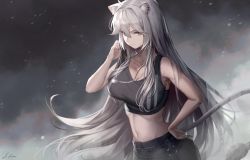 Rule 34 | 1girl, absurdres, animal ears, bare arms, bare shoulders, breasts, cleavage, commentary request, crop top, dog tags, grey eyes, hair down, hand on own hip, hand up, highres, hololive, ioriwu8, large breasts, lion ears, lion tail, long hair, looking at viewer, midriff, navel, shishiro botan, shishiro botan (button-down), silver hair, smile, solo, sports bra, stomach, tail, upper body, very long hair, virtual youtuber