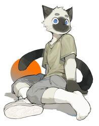 Rule 34 | 1boy, animal ears, black fur, blue eyes, body fur, cat, cat boy, cat ears, cat tail, closed mouth, full body, furry, furry male, highres, looking at viewer, male focus, milkybot, original, shirt, shoes, siamese cat, simple background, single shoe, sitting, socks, solo, t-shirt, tail, whiskers, white background, white fur, white socks