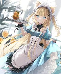 Rule 34 | 1girl, animal ears, apron, black bow, black bowtie, blonde hair, blue dress, blue eyes, blunt bangs, bow, bowtie, breasts, bug, butterfly, buttons, cat ears, cat girl, center frills, commentary, cowboy shot, cup, detached collar, double-breasted, dress, dutch angle, english commentary, flower, food, frills, fruit, glass teacup, glass teapot, hair ribbon, highres, holding, holding tray, insect, lace trim, lemon, lemon slice, light blush, light particles, long dress, long hair, looking at viewer, maid, maid apron, maid headdress, medium breasts, myaco9, original, plant, puffy short sleeves, puffy sleeves, ribbon, rose, saucer, short sleeves, skirt hold, smile, solo, striped bow, striped bowtie, striped clothes, tea, teacup, teapot, tray, two side up, white ribbon, window, wrist cuffs, yellow flower, yellow rose