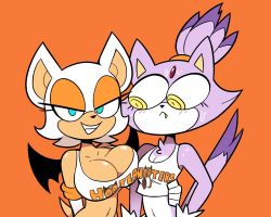 Rule 34 | 2girls, asymmetrical docking, blaze the cat, blush, breast envy, breast press, breasts, cleavage, collaboration, furry, green eyes, hooters, large breasts, looking at viewer, multiple girls, rouge the bat, sega, short hair, small breasts, smile, sonic forces, sonic (series), wings