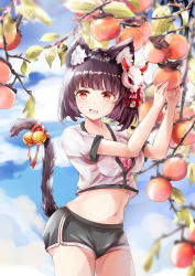Rule 34 | 1girl, :d, animal ear fluff, animal ears, azur lane, bell, blue sky, bra, breasts, cat ears, cat girl, cat tail, cleavage, cloud, cloudy sky, cowboy shot, crop top, crop top overhang, day, dolphin shorts, fang, food, fox mask, fruit, hands up, highres, holding, jingle bell, leaf, looking at viewer, mask, mask on head, medium breasts, midriff, mutang, navel, open mouth, outdoors, peach, persimmon, pink bra, red eyes, ribbon, shirt, short hair, short shorts, short sleeves, shorts, sky, smile, solo, standing, tail, tail ornament, tail ribbon, thighs, tree, underwear, white shirt, yamashiro (azur lane)
