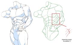 Rule 34 | 1boy, abs, anatomy, bara, before and after, bluegiragi, close-up, feet out of frame, headless, how to, large pectorals, male focus, muscular, muscular male, navel, nipples, nude, obliques, original, pectorals, short hair, thick thighs, thighs