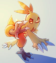 Rule 34 | claws, closed mouth, combusken, commentary request, creatures (company), full body, fusenryo, game freak, gen 3 pokemon, highres, leg up, looking at viewer, nintendo, no humans, orange eyes, pokemon, pokemon (creature), solo, standing, standing on one leg, talons
