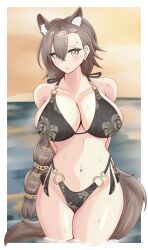 Rule 34 | 1girl, absurdres, animal ear fluff, animal ears, anthonii, arknights, bikini, braid, breasts, brown eyes, brown hair, cowboy shot, extra ears, highres, large breasts, mole, mole above eye, mole on forehead, ocean, orange sky, penance (arknights), sky, solo, swimsuit, tail, wet, wolf ears, wolf girl, wolf tail