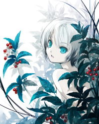 Rule 34 | 1girl, bad id, bad pixiv id, berry, blue eyes, kawasumi (japonica), leaf, looking at viewer, nature, original, outdoors, plant, short hair, solo, topfreedom, topless, white hair