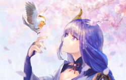 Rule 34 | 1girl, armor, bird, blunt bangs, blurry, braid, breasts, bridal gauntlets, cherry blossoms, cleavage, commentary request, depth of field, facing away, falling petals, from side, genshin impact, hair ornament, highres, long hair, long sleeves, looking at viewer, looking away, looking up, low ponytail, medium breasts, mitsudomoe (shape), nail polish, parted lips, petals, purple eyes, purple hair, purple nails, raiden shogun, shoulder armor, sidelocks, simple background, single braid, solo, syaciko124, tomoe (symbol), wide sleeves